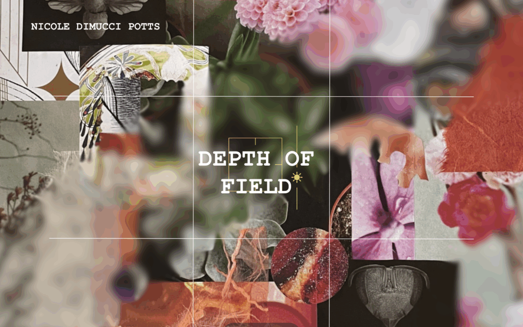 Depth of Field: Nicole DiMucci Potts